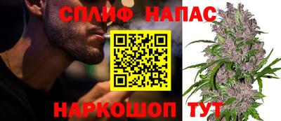 гашик Балахна