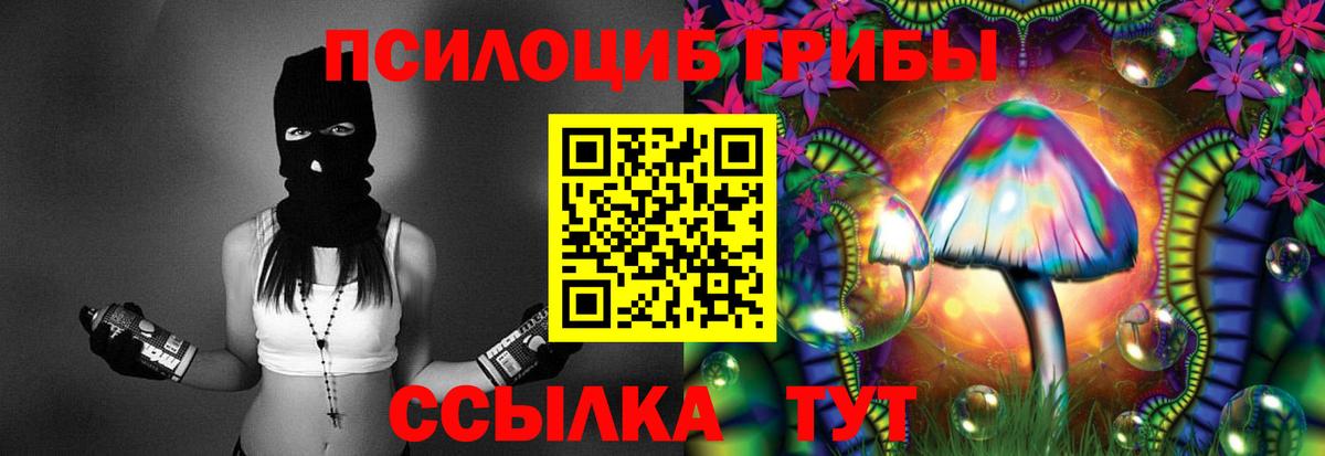 Галлюциногенные грибы ЛСД  Вход с VPN  Камышин  Галлюциногенные грибы Cubensis 